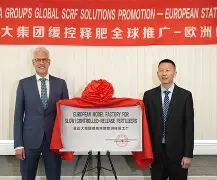 山东泰山追逐强力外援